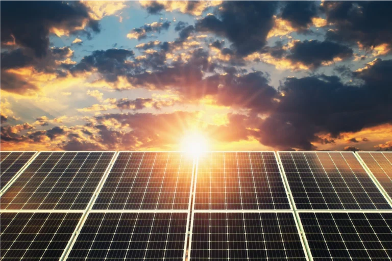 Energy Saving in Qunfa Sustainability Daily-Use Ceramics Manufacturer