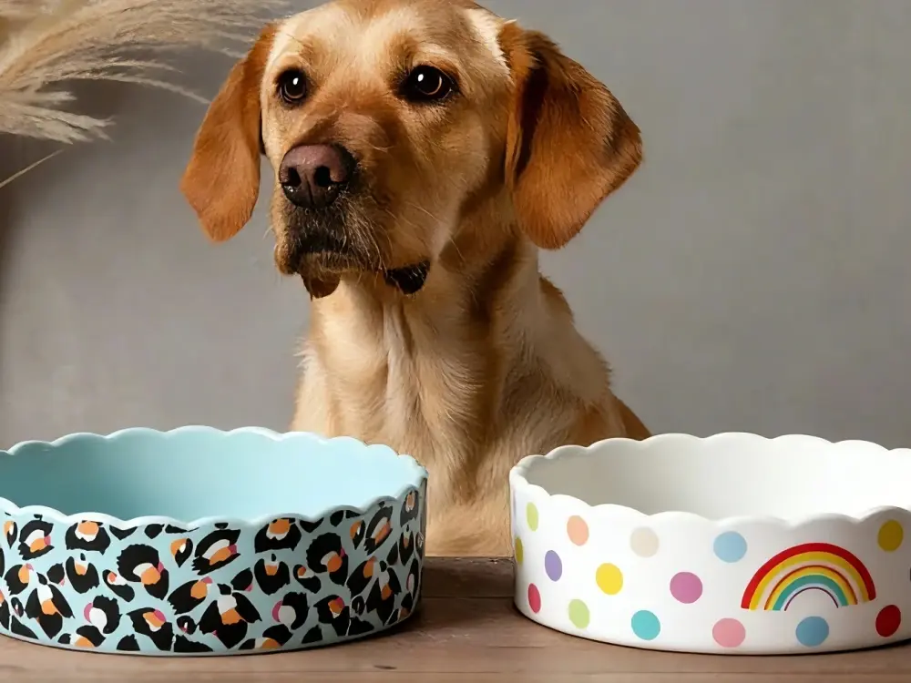 Expert Ceramics Manufacturer Since 1993-Pet Bowls_m