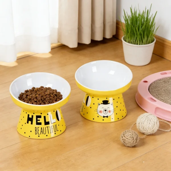 Wholesale Ceramics Manufacturer, Factory Direct Raised Pet Bowls-1