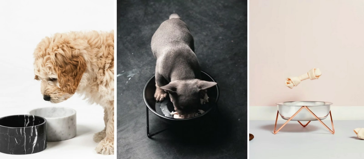 A Hygiene Pet Bowls Comparison, Ceramic vs. Stainless Steel vs. Plastic-3