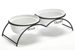 A Hygiene Pet Bowls Comparison, Ceramic vs. Stainless Steel vs. Plastic