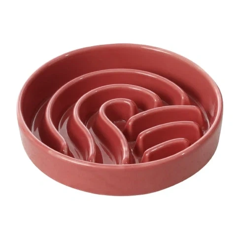 Top 5 Ceramic Pet Bowls Designs for Enhancing Pets' Feeding Experience-2