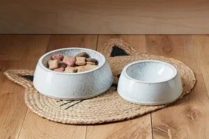 Top 5 Ceramic Pet Bowls Designs for Enhancing Pets' Feeding Experience