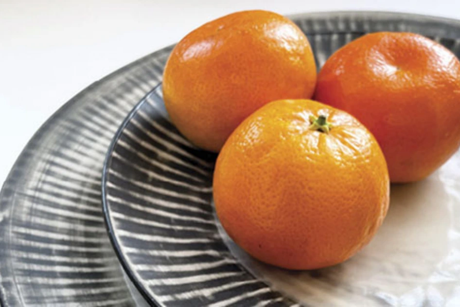 How to Choose Ceramics Material by Daily Use Scenarios-3