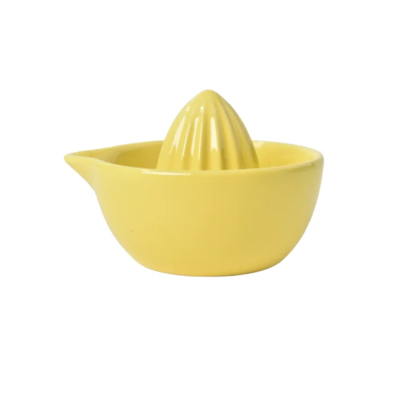 wholesale-ceramic-juicer-factory-price-lemon-squeezers-2